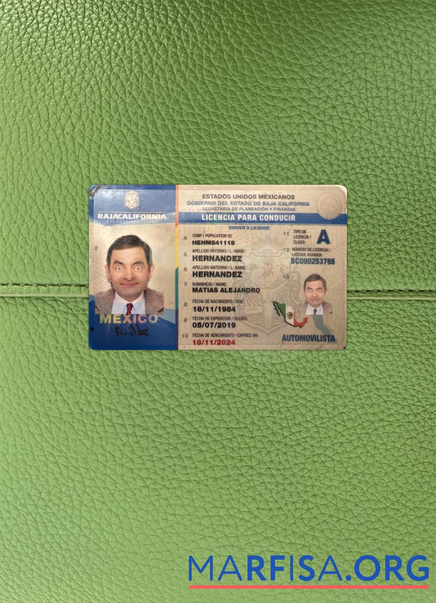 Downloadable Mexico Baja California state driving license photolook download for verification